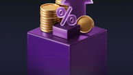 رشد 42 درصدی مانده تسهیلات بانک اقتصادنوین
