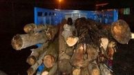 کشف یک تن چوب قاچاق در رباط کریم
