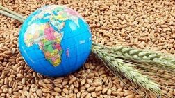  تغییرات آب و هوایی چگونه امنیت غذایی جهان را تهدید می‌کند 