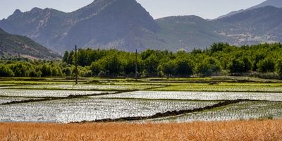 فرمان اجرای سرشماری عمومی کشاورزی ۱۴۰۳ ابلاغ شد