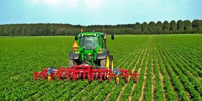 راهکار محدودیت کشت محصولات جالیزی چیست؟