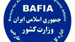 28 هزار تبعه خارجی در خراسان رضوی بیمه سلامت شده اند