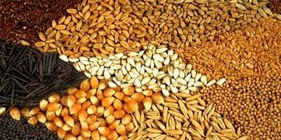 مبلغ 3320 میلیارد تومان برای صندوق بیمه کشاورزی پیش بینی شد