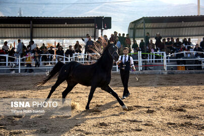 63256711__DSC9763-copy