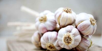 فشار خون بالا را با آبغوره مهار کنید / آبغوره کلید سلامت قلب و عروق