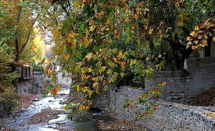 thm_18560255_858