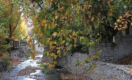 thm_18560255_858