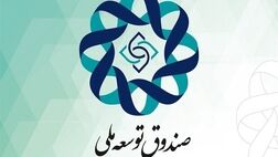 وصول ۵.۵ میلیارد دلار از مطالبات صندوق توسعه ملی