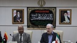 ۱۷ هزار خانه بهداشت در روستاها و نقاط دور افتاده وجود دارد