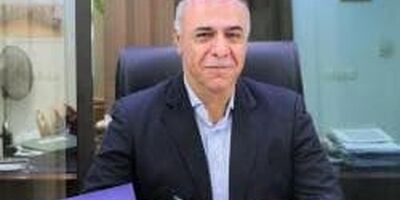 پیام نوروزی مدیرعامل شرکت بیمه کارآفرین