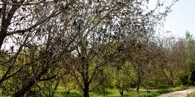 مقرری‌بگیران بیمه بیکاری در زنجان به بیش از 3 هزار نفر رسیده است