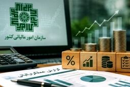  توضیحات سازمان مالیاتی درباره تمدید زمان ارائه اظهارنامه‌ها 