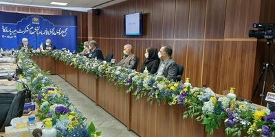 بیمه پاسارگاد برای سهامداران خود 255 ریال سود نقدی کنار گذاشت
