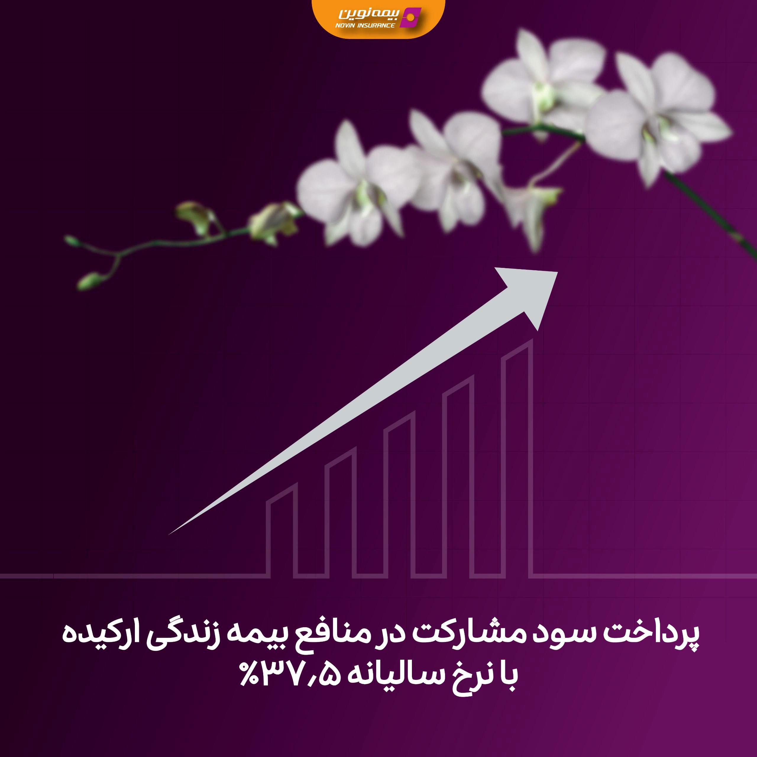 پرداخت سود مشارکت در منافع بیمه زندگی ارکیده با نرخ سالیانه ۳۷.۵ درصد