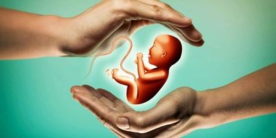 انجام بیش از ۳۰ هزار عمل پیوند اعضاء در ایران
