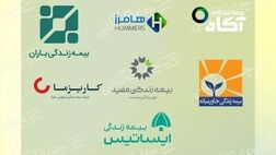 کاریزما در صدر و بیمه زندگی هامرز در انتهای جدول درآمد سرمایه گذاری از محل منابع بیمه ای جای گرفتند + جدول