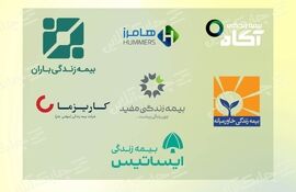 کاریزما در صدر و بیمه زندگی هامرز در انتهای جدول درآمد سرمایه گذاری از محل منابع بیمه ای جای گرفتند + جدول