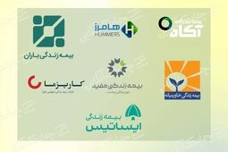 کاریزما در صدر و بیمه زندگی هامرز در انتهای جدول درآمد سرمایه گذاری از محل منابع بیمه ای جای گرفتند + جدول