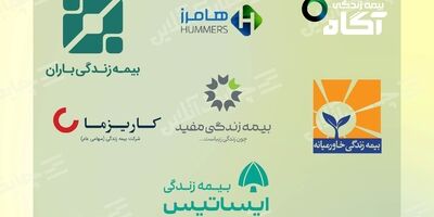 کاریزما در صدر و بیمه زندگی هامرز در انتهای جدول درآمد سرمایه گذاری از محل منابع بیمه ای جای گرفتند + جدول
