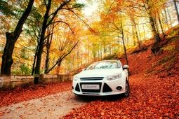 امکان ثبت آنلاین خسارت برای بیمه‌گزاران تجارت‌نو فعال شد
