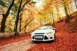 امکان ثبت آنلاین خسارت برای بیمه‌گزاران تجارت‌نو فعال شد
