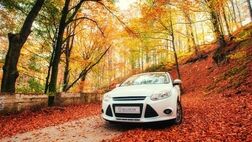 امکان ثبت آنلاین خسارت برای بیمه‌گزاران تجارت‌نو فعال شد
