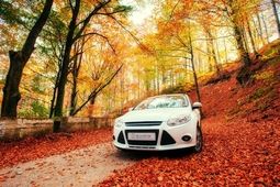 امکان ثبت آنلاین خسارت برای بیمه‌گزاران تجارت‌نو فعال شد
