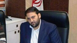شرکت های بیمه تحلیل دقیقی از سودآوری صنعت لیزینگ ندارند