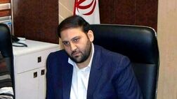 شرکت های بیمه تحلیل دقیقی از سودآوری صنعت لیزینگ ندارند