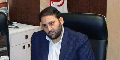 شرکت های بیمه تحلیل دقیقی از سودآوری صنعت لیزینگ ندارند