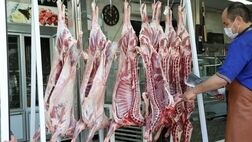 9 هزار تن گوشت عشایری به زودی وارد بازار می‌شود