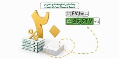 افزایش حمایت از بنگاه های تولیدی با رشد گشایش اعتبار اسنادی در بانک توسعه صادرات ایران