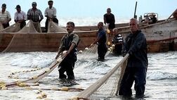 24 هزار صیاد در چابهار و کنارک بیمه تکمیلی می شوند
