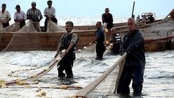 24 هزار صیاد در چابهار و کنارک بیمه تکمیلی می شوند
