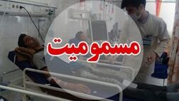مسمومیت غذایی ۳۸ دانشجوی خوابگاه دانشگاه امام صادق