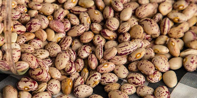 قیمت هرکیلو لوبیا چیتی به ۳۹۰ هزارتومان رسید