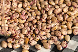 لوبیا چیتی ارزان شد