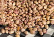 لوبیا چیتی ارزان شد