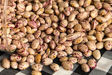لوبیا چیتی ارزان شد