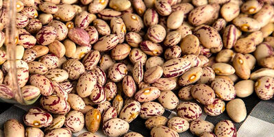 قیمت هرکیلو لوبیا چیتی به ۳۹۰ هزارتومان رسید