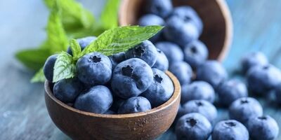 بلوبری در کاهش فشارخون و تقویت مغز موثر است

