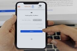 تمدید ۸۰ درصد قراردادهای اجاره در خودنویس یا مستقیم بین طرفین 
