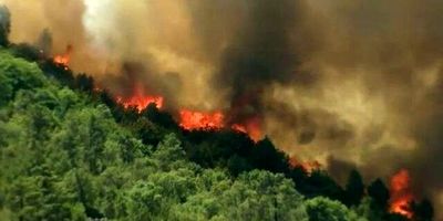 آتش سوزی شدید منطقه بورسای ترکیه را فرا گرفت