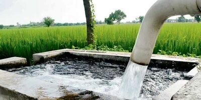 سقف قیمت ارزی واردات کالاهای اساسی و نهاده‌های بخش کشاورزی در مهر ۱۴۰۲ تعیین شد