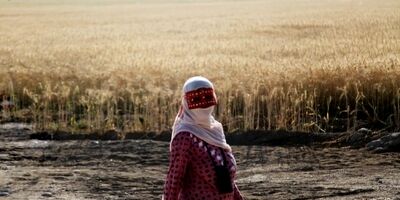  ارائه بیمه تکمیلی برای اعضای صندوق بیمه اجتماعی