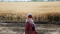  ارائه بیمه تکمیلی برای اعضای صندوق بیمه اجتماعی