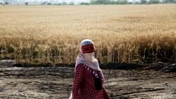 آغاز برآورد خسارت‌ سیل به گندم‌های استان خوزستان‌