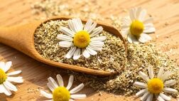 دمنوش بابونه برای چی خوبه ؟