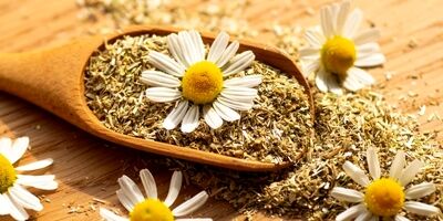 دمنوش بابونه برای چی خوبه ؟