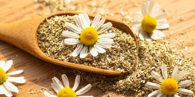 دمنوش بابونه برای چی خوبه ؟